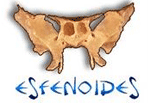 Esfenoides Dance Company